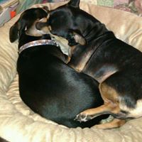 Michele Mclain Photo 11