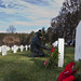 Susan Mccolley Photo 4