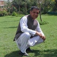 Zalmai Afzali Photo 4