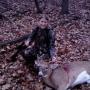 Stephanie Wolf Photo 20