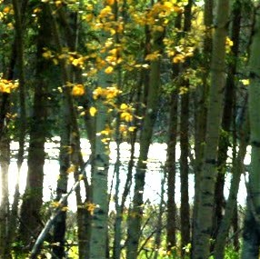 Janet Bowers Photo 13