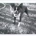 Ellen Farmer Photo 27