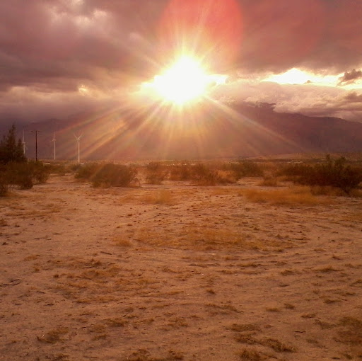 Trish Cook Photo 34