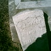 Cyrus Bailey Photo 3