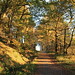 Elizabeth Forest Photo 9