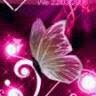 Cindy Bogle Photo 16