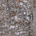 Shelly Wall Photo 22