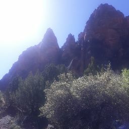 Charles Whiteman Photo 3
