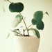 James Noack Photo 6