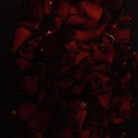 Rose Peeters Photo 12