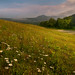 James Meadows Photo 50
