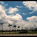 Liem Dinh Photo 24