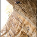 Jason Forrester Photo 44
