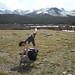 Sarah Brainard Photo 18