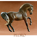 Deborah Mcdermott Photo 14