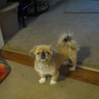 Tracey Winters Photo 7