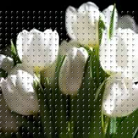 May Her Photo 14