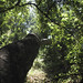 Amy Mcroberts Photo 11
