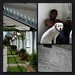 Sherry Ward Photo 15