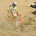 Alain Paul Photo 8
