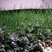Crystal Dinh Photo 7