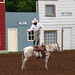 Bill Byer Photo 12