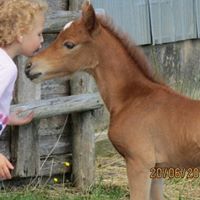 Heather Horne Photo 31