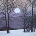 Kathleen Hopkins Photo 40