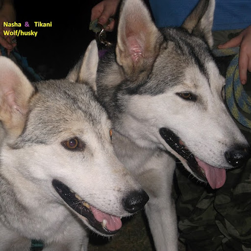 Brenda Poole Photo 19