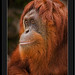 Rick Meis Photo 5