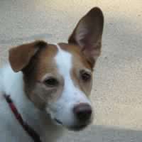 Nancy Hamilton Photo 21