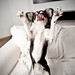 Louie Long Photo 20