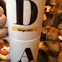 Danielle Gillingham Photo 3
