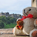Ted Bear Photo 29