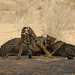 Martin Hunt Photo 15