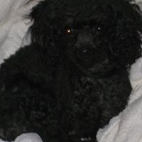 Cheryl Childers Photo 33