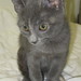 Tabitha Tanner Photo 21