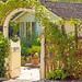 Linda Gates Photo 38