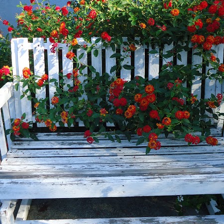 Kathy Moss Photo 6
