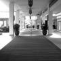 Michael Kitchens Photo 39