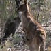 Joey Gray Photo 21