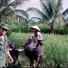 Hiep Ngo Photo 17