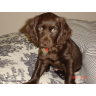 Susan Holtzclaw Photo 18