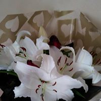 Geraldine Walter Photo 10