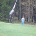 April Griffis Photo 12