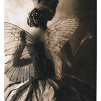 Caroline Connor Photo 23