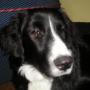 James Dabrowski Photo 14