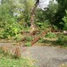Lori Rust Photo 11