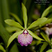 Lynn Evans Photo 21