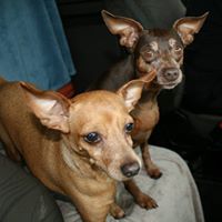 Connie Bradford Photo 32